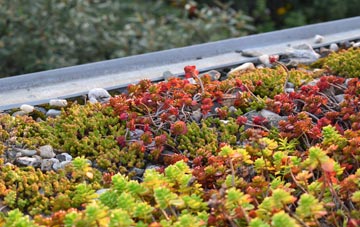 the cost of Scotland green roof installation