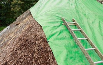 maintaining Scotland thatch