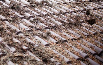 Scotland roof cleaning companies